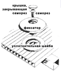 termo_4big